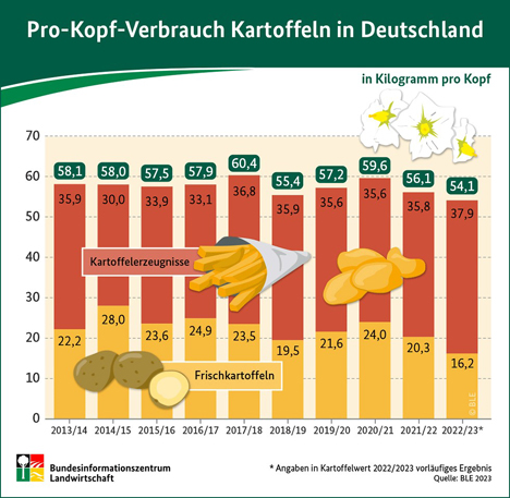 Bzl Infografik Pro Kopf Verbrauch Kartoffeln In Deutschland Fruchtportal